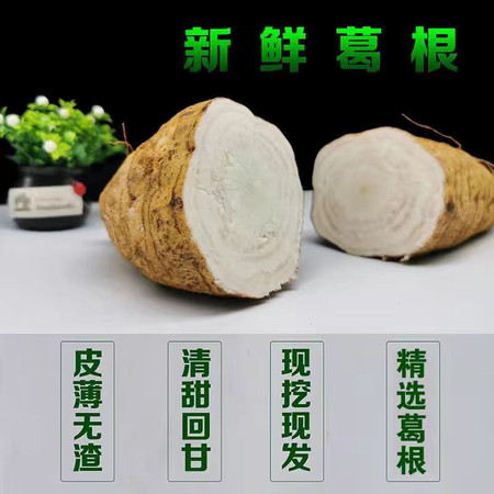 邮鲜生 和平葛根（藤县）1.5kg