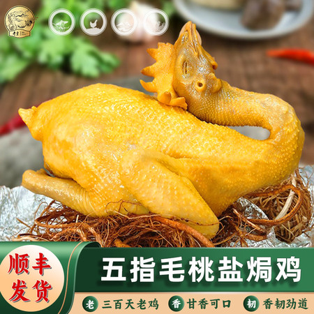 参皇 五指毛桃盐焗鸡≥850g/只顺丰发货甘香可口香韧劲道整只美食