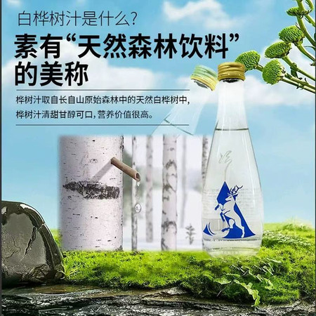 天牧朔方 白桦树汁330ml*6玻璃瓶装植物饮品