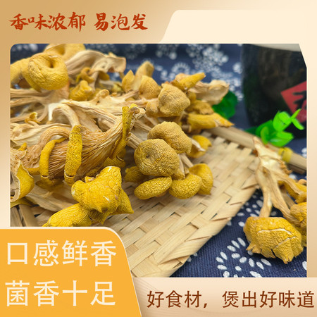 丹江君品 鸡油菌 200g/袋 南北干货煲汤食材黄丝菌食用菌榆黄菇火锅图片