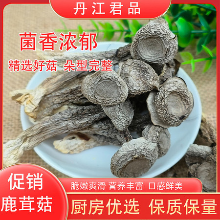 丹江君品 鹿茸菇 250g/袋 鹿茸菌菇 炒菜煲汤火锅食材图片