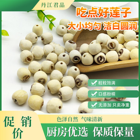 丹江君品 白莲子 500g/袋 干净无杂质