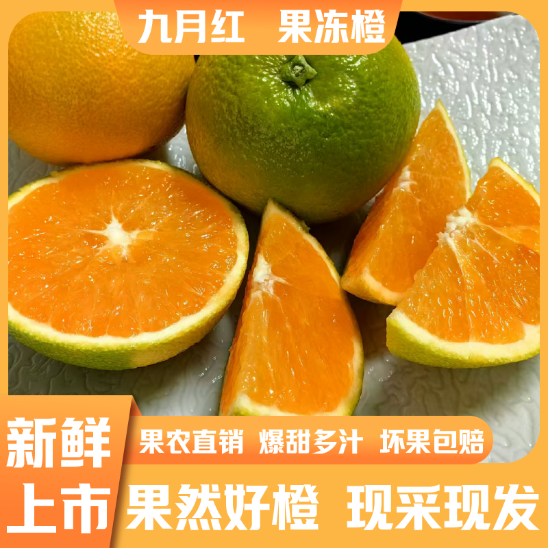 偶林记 【忠县农品馆】九月红柑橘 多规格可选