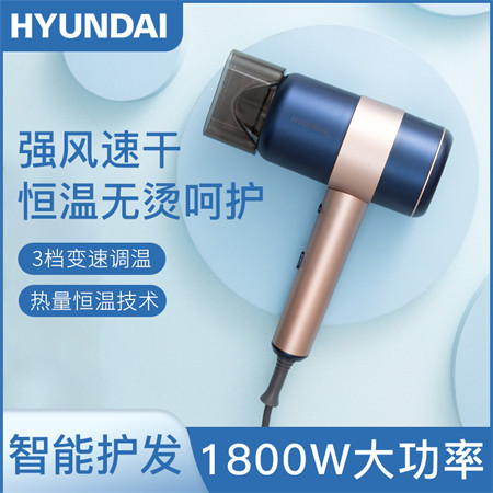 现代/HYUNDAI 时尚降噪美发电吹风  YH5350图片