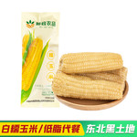 嘎哒牙儿 鲜食白玉米电商装（一件代发）220g*10支/箱