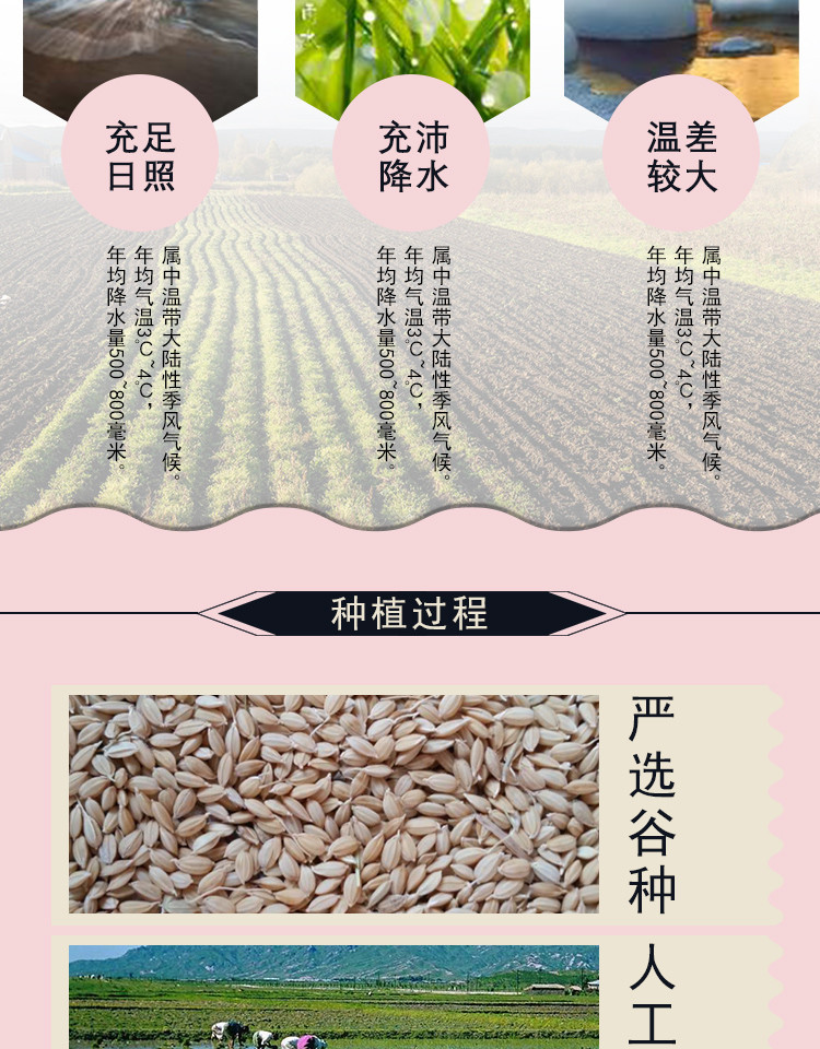 三河站 【东北大米】5kg超级小町大米真空包装